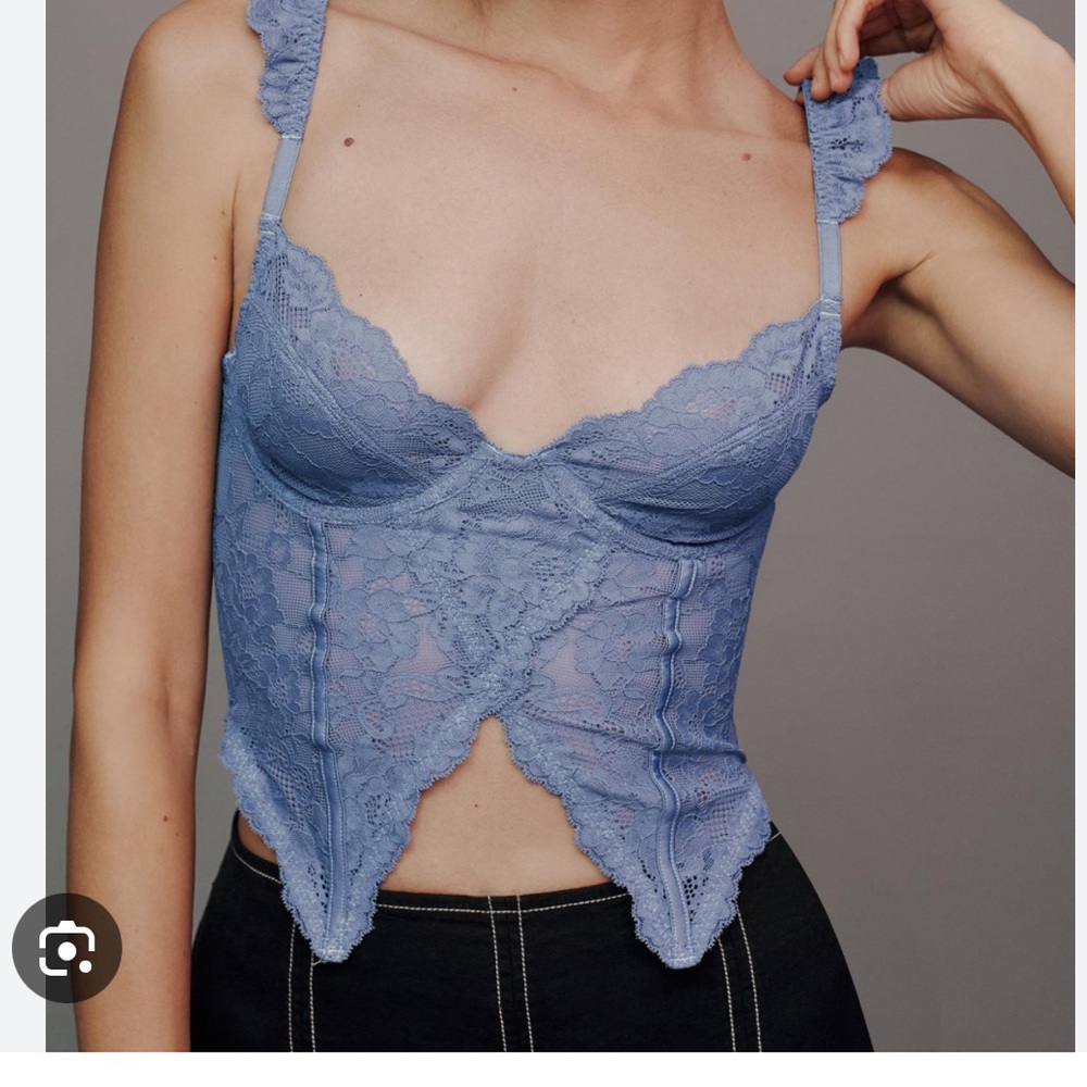 ISO IN SEARCH OF ANTHROPOLOGIE CORSET BUSTIER TOP